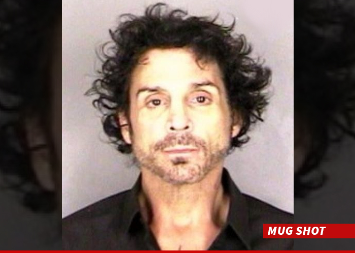 Journey -- Drummer Booted Off Tour After Domestic Violence Arrest