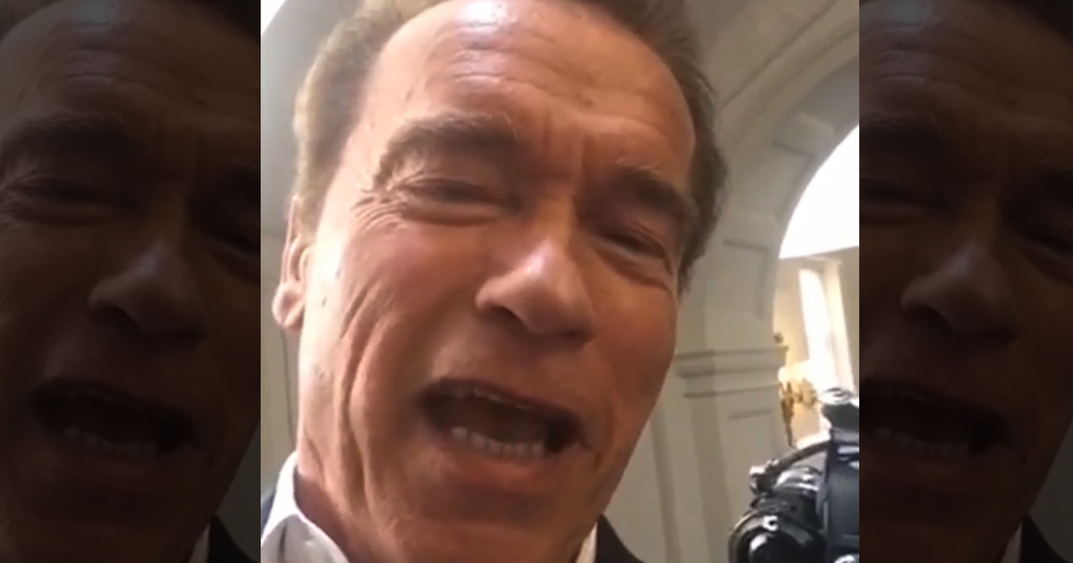Arnold Schwarzenegger -- J.J. Watt Should Be Next 'Terminator'