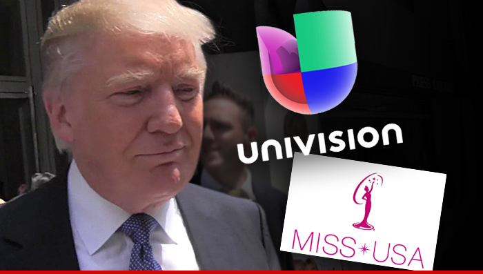 Donald Trump -- I'm Suing Univision for Hundreds of Millions Over Miss USA