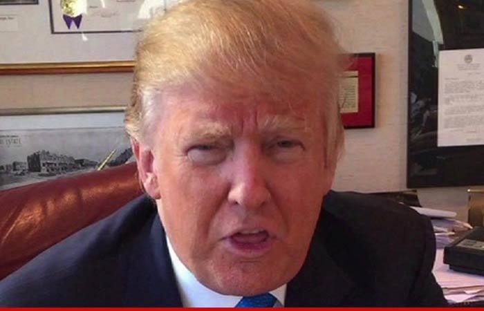 Donald Trump -- Undocumented Workers Can Stay ... But ONLY if They Work Hard