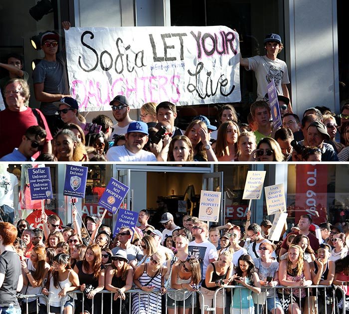 Sofia Vergara -- Protesters Cry, 'Unfreeze Your Daughters, Unfreeze Your Heart'