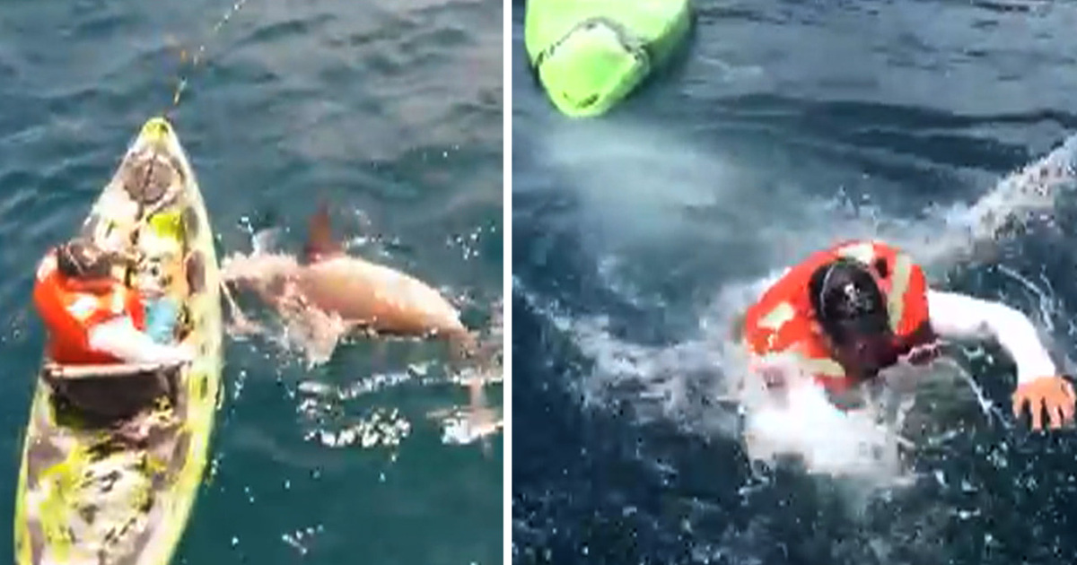 Shark vs. Man -- Who You Rootin' For?