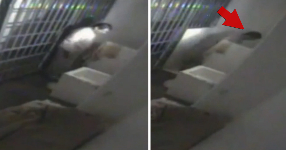 El Chapo's Escape CAUGHT ON VIDEO