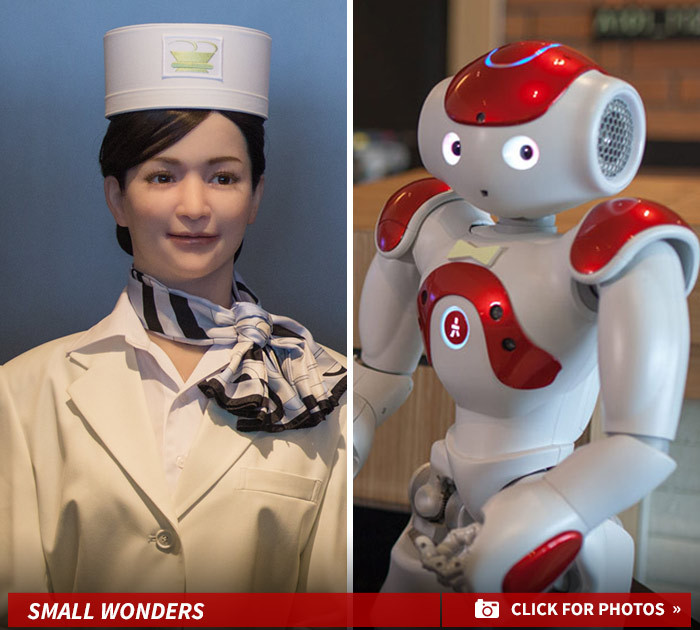 Meet Henn na Hotel's High-Tech Staff -- Domo Arigato, Servant Robotos!