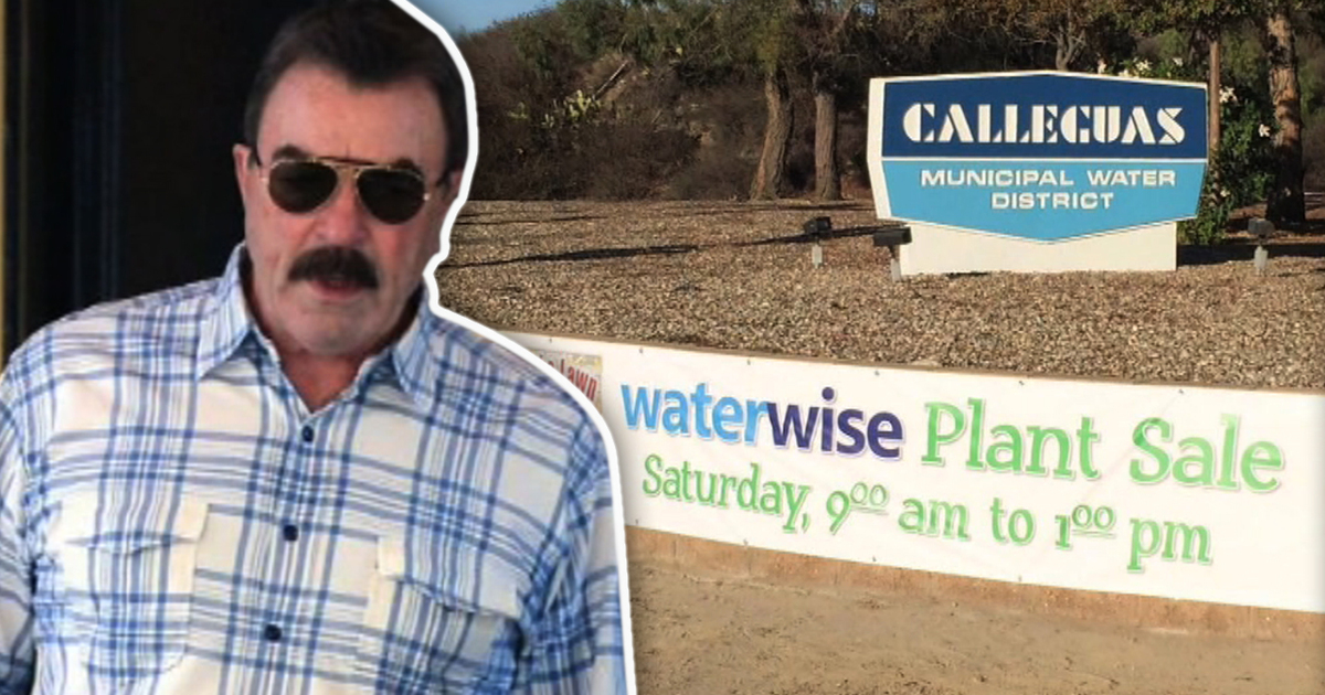 Tom Selleck -- Sorry for Stealing Water? We Drought It (TMZ TV)