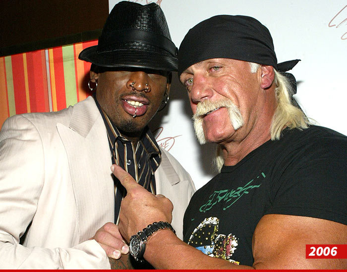 Dennis Rodman -- Black Celebs Wanted ... to Support Hulk Hogan