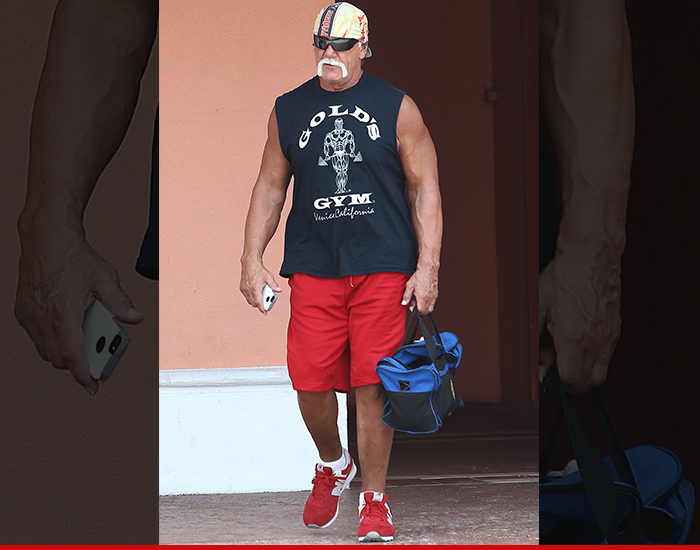 Hulk Hogan -- Blowin' Off Steam