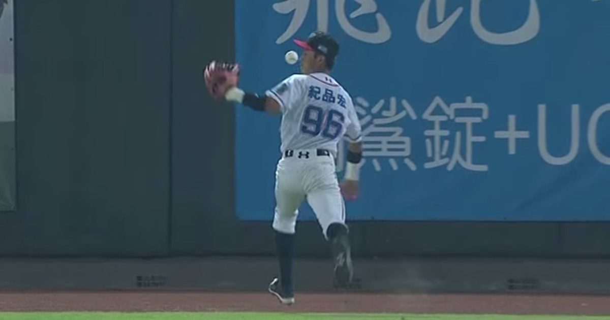 Luckiest Baseball Catch Ever? We Think So!