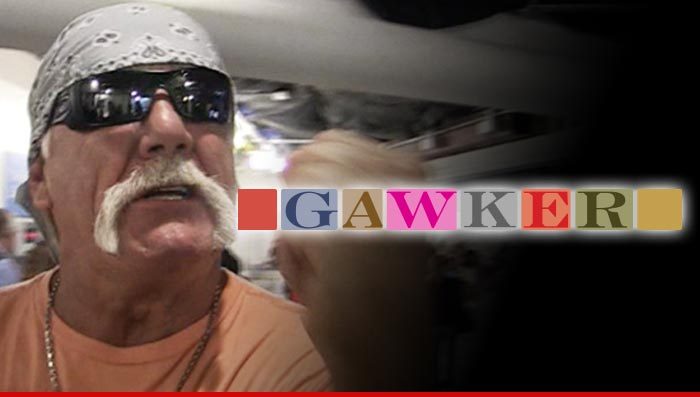 Hulk Hogan: Gawker Leaked N-Word Story ... They Should Be Jailed