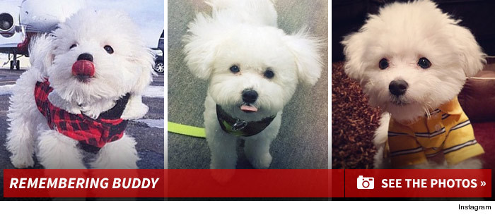 0729_remembering_buddy_demi_footer