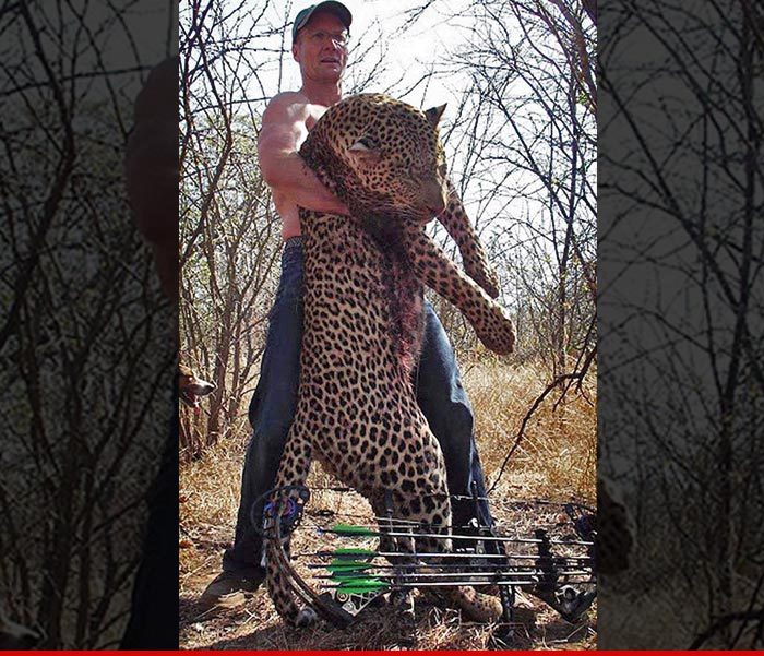 Dr. Walter Palmer Surfaces ... Contacts Investigators