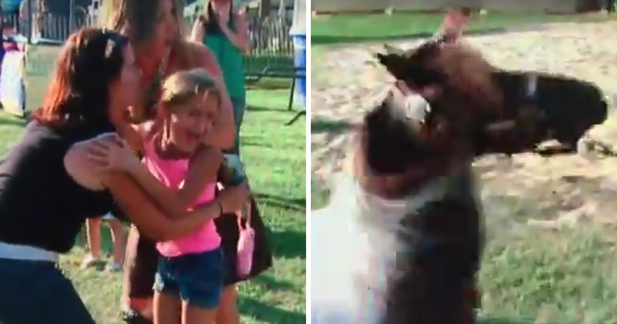 Mini Ponies -- Super Cute ... And Incredibly Dangerous (Video)