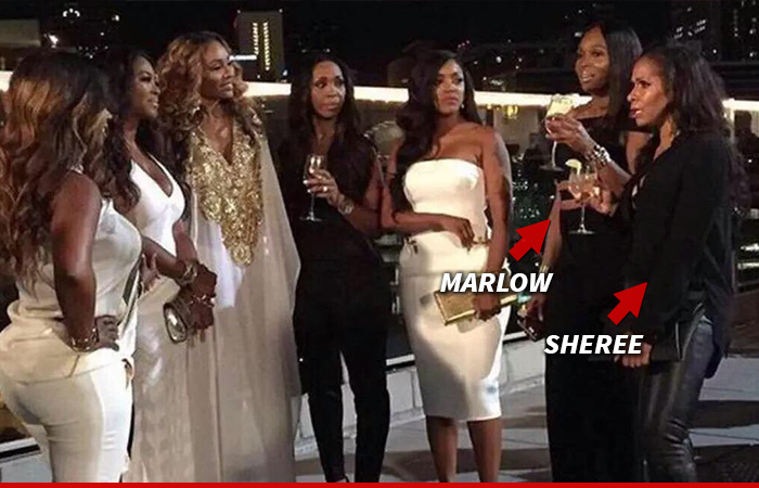 Real Housewives of ATL -- Goodbye NeNe ... Hello (Again) Sheree