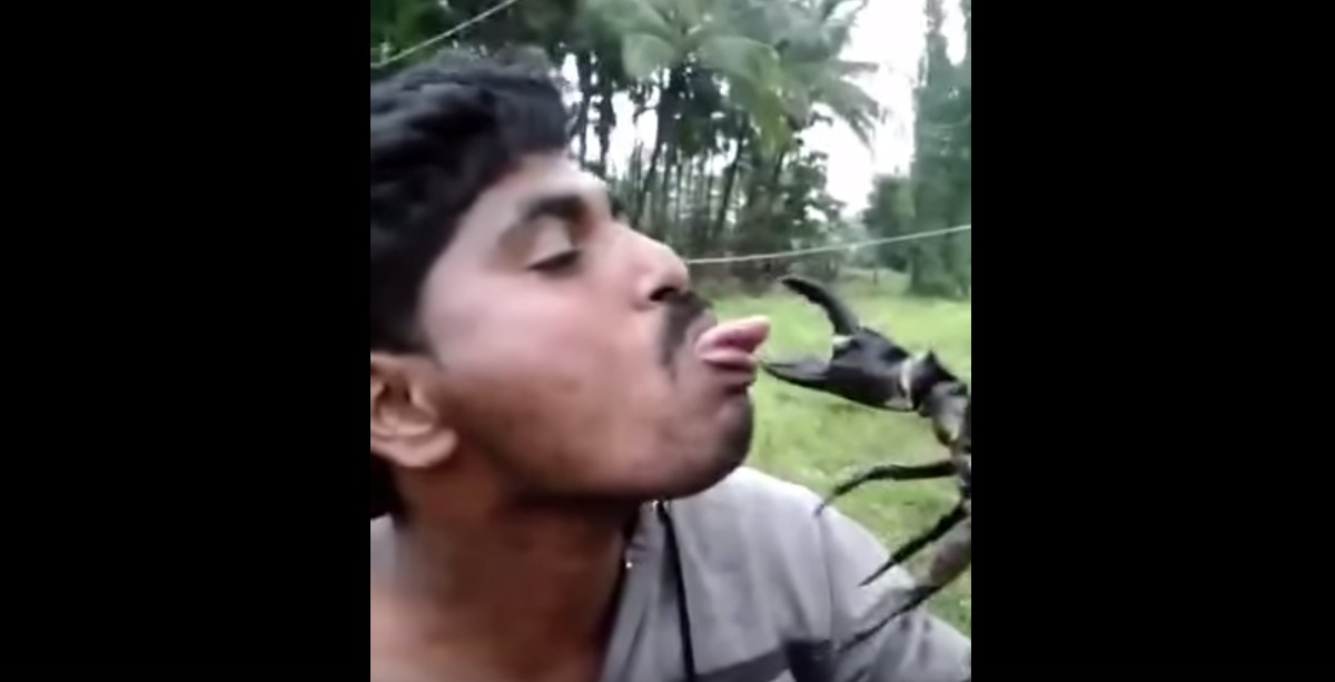 Man Plays Chicken With a Crab ... And LOSES!