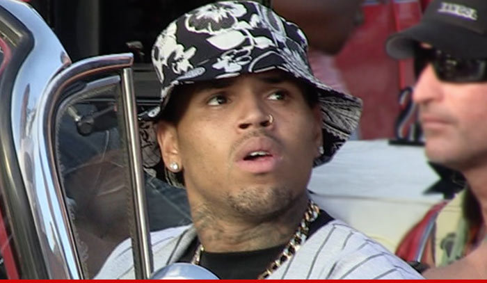 Chris Brown --  Bodyguard Busted for a Concealed Weapon