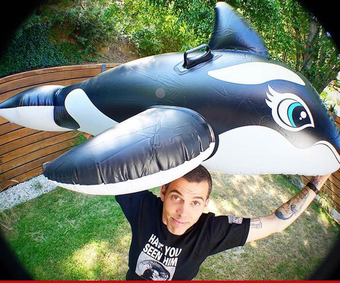 Steve-O -- Catch And Release ... For Crazy Sea World Stunt