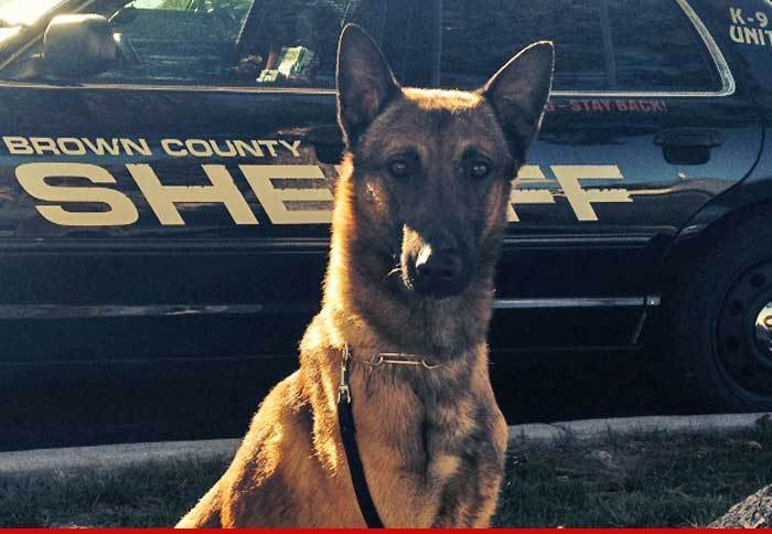 PGA Championship -- K-9 Down ... Sheriff's Dog Dies in Hot Car