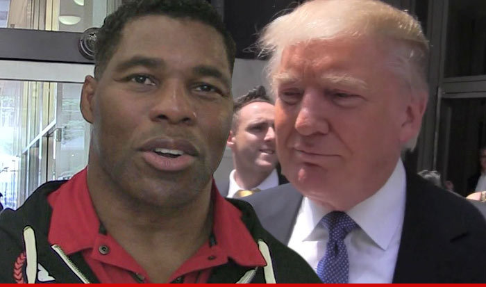 Herschel Walker -- Donald Trump Is a Man of His Word ... I Should Know
