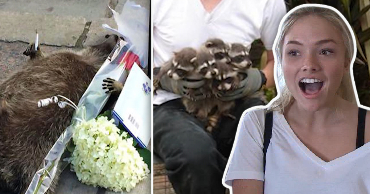 'Gotham' Star Natalie Alyn Lind -- Fish & Raccoons Deserve Funerals Too, Y'know! (TMZ TV)