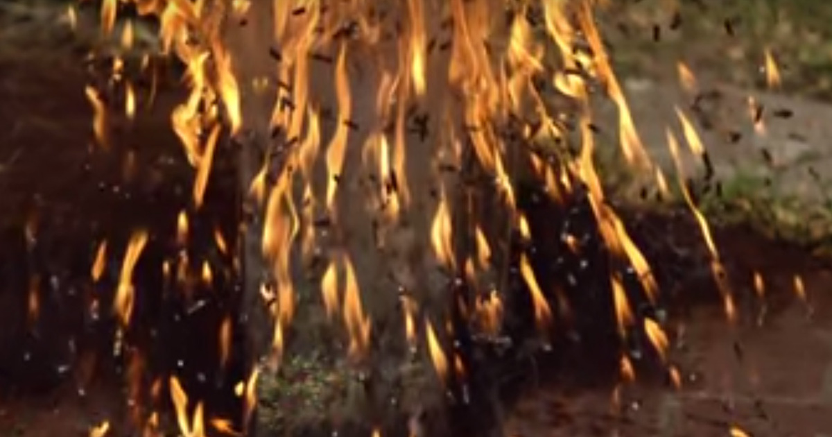 Super Slow Mo Explosion ... Is Super Awesome To Watch (VIDEO)