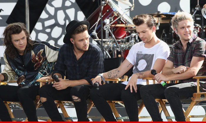 One Direction -- Remaining Bandmates Going in Own Directions