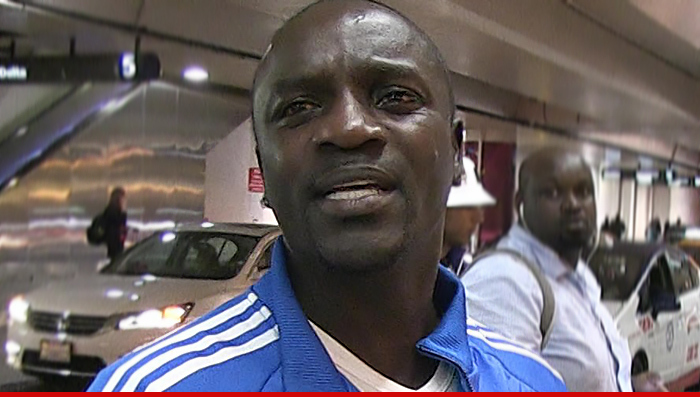 Akon Sued -- Mansion Floors Don't Come Cheap ... Pay Up, Man!
