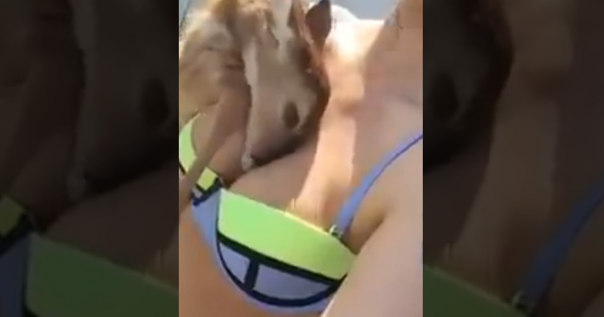 Best Combo Ever -- Bambi And Boobs