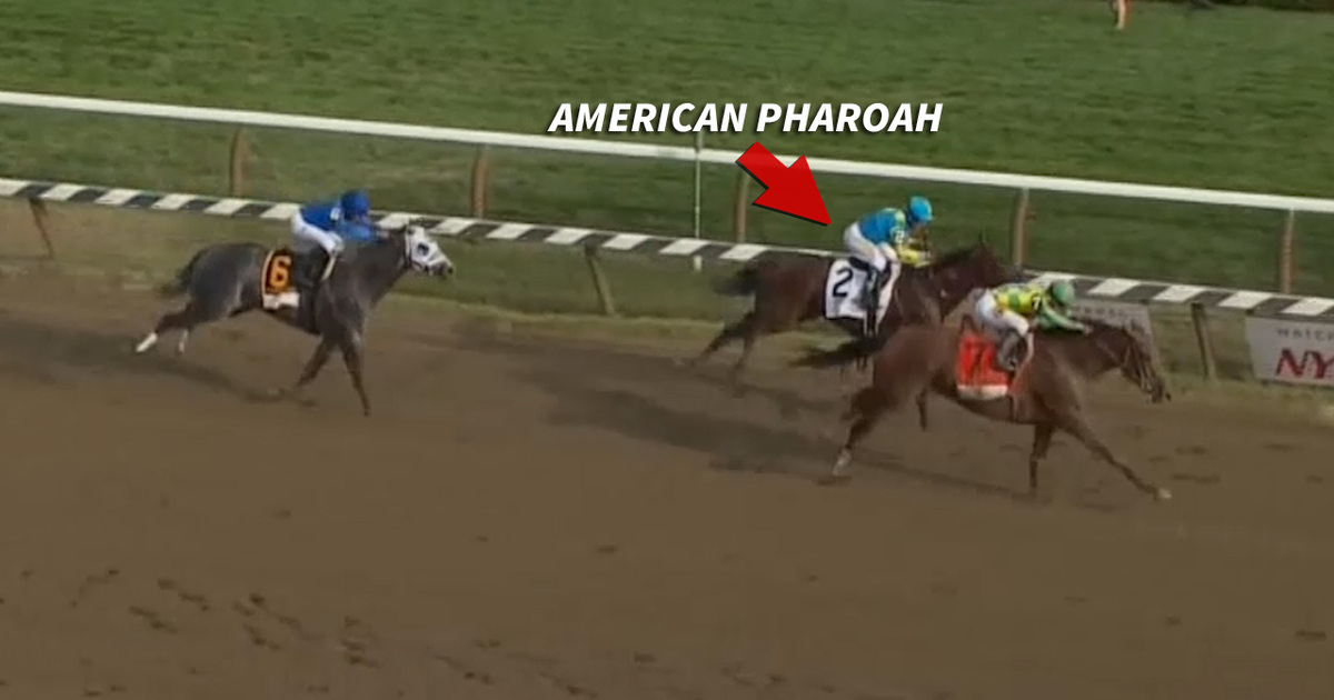 American Pharoah -- Down Goes The Champ ... Loses After Crazy Finish