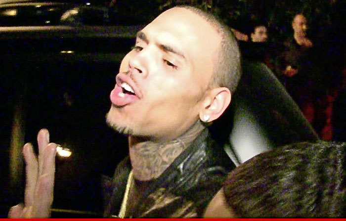 Chris Brown Sued -- Your Lack of Security Got Me Shot!