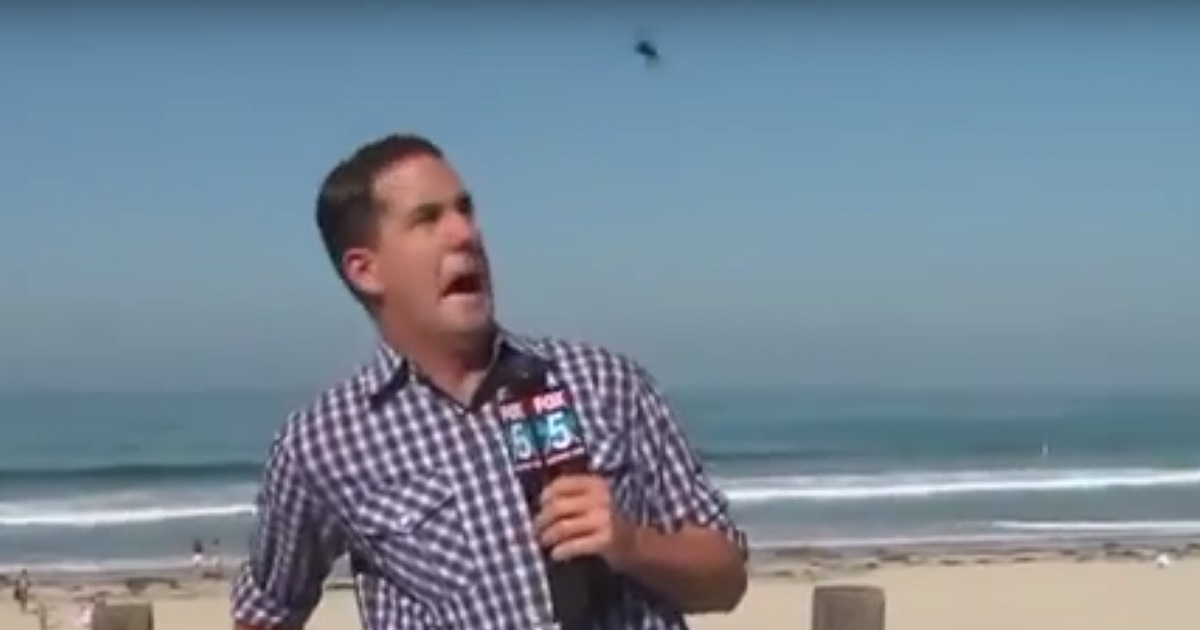 Reporter Freaked By Bug -- Are We Live?!?!? (VIDEO)
