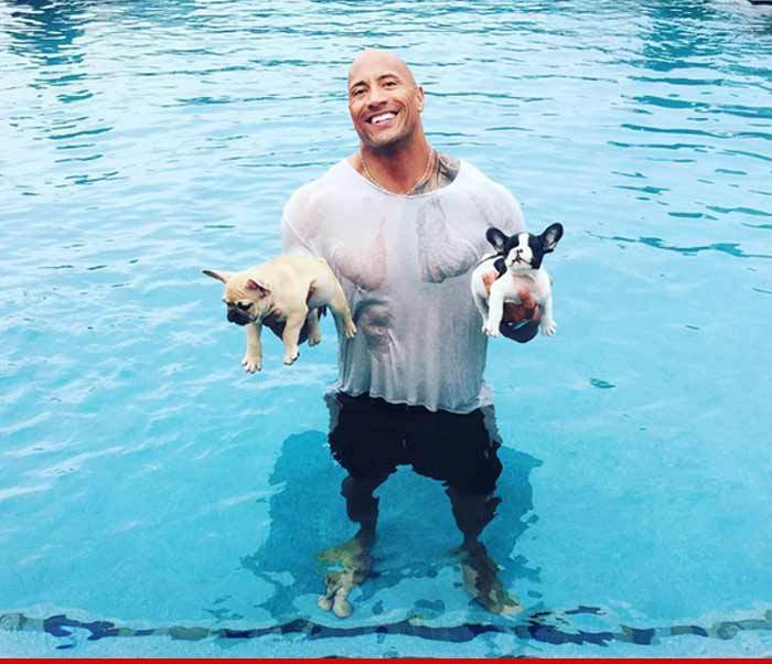Dwayne Johnson -- My Bulldog Pup Sank Like a Rock (PHOTO)