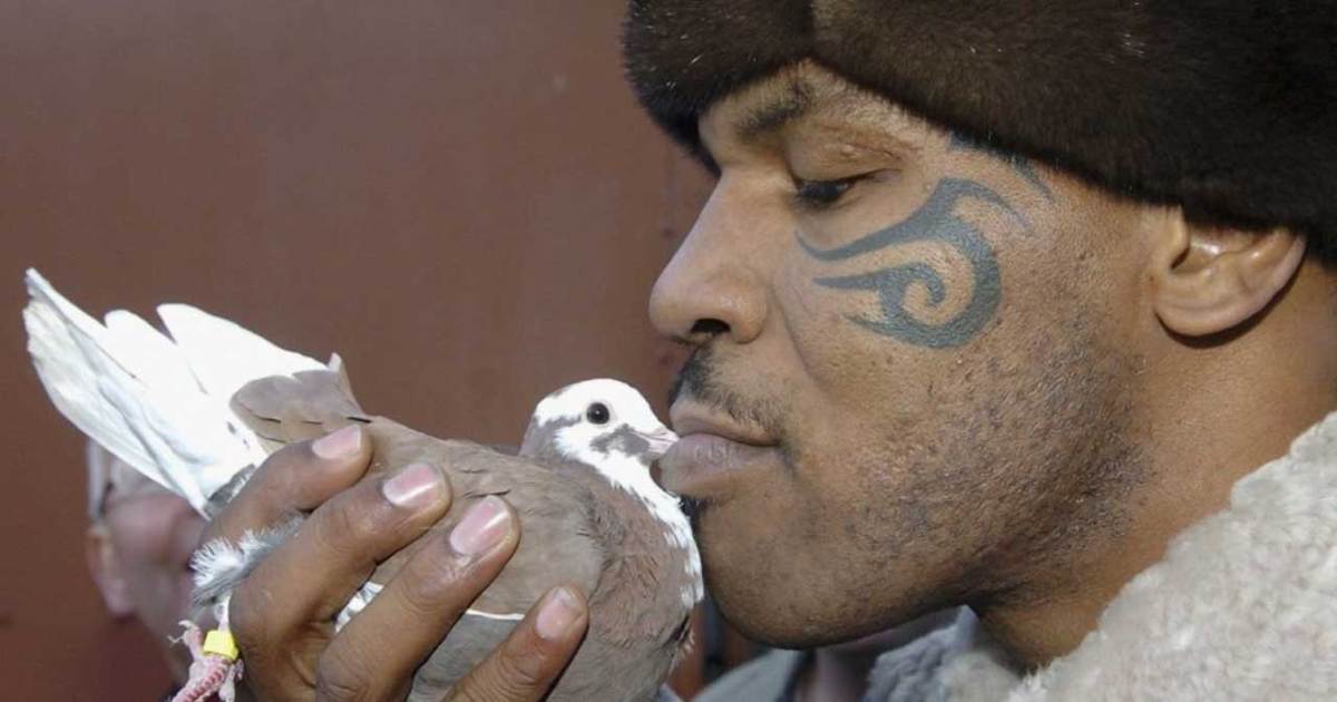 TMZ's Celebrity Pet Shop (VIDEO)