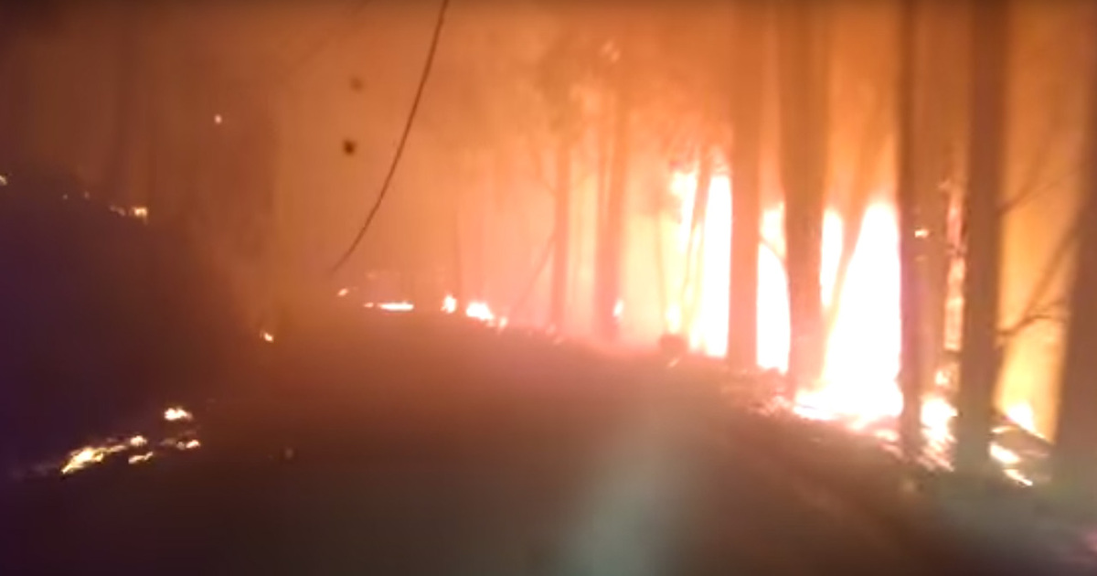 Fiery Escape -- Driving Through A Forest Fire (VIDEO)
