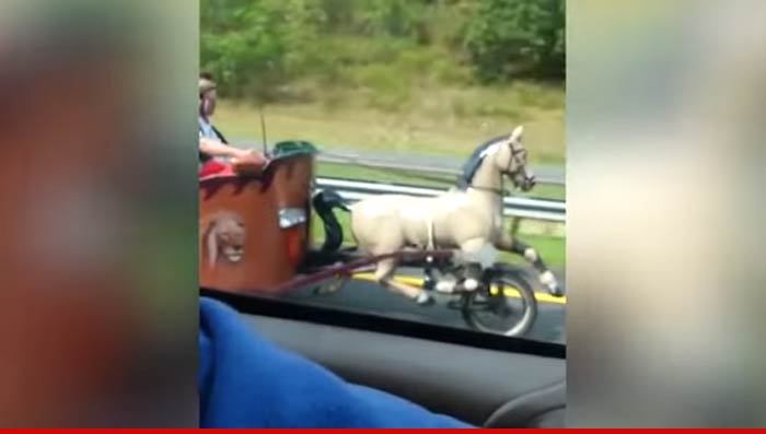 Horse-Drawn Chariot Car Spotted on Highway (VIDEO)