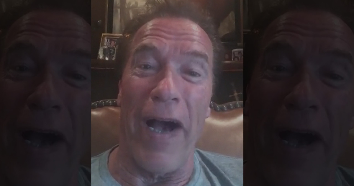 Arnold Schwarzenegger -- Do I Say You're 'Fired,' 'Terminated,' What?' (VIDEO)