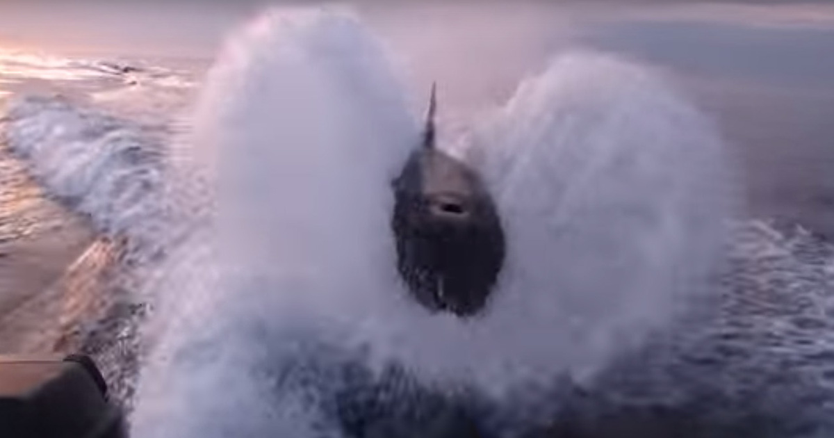 Freaked Out Fishermen -- Killer Whales Chase Fishing Boat (VIDEO)