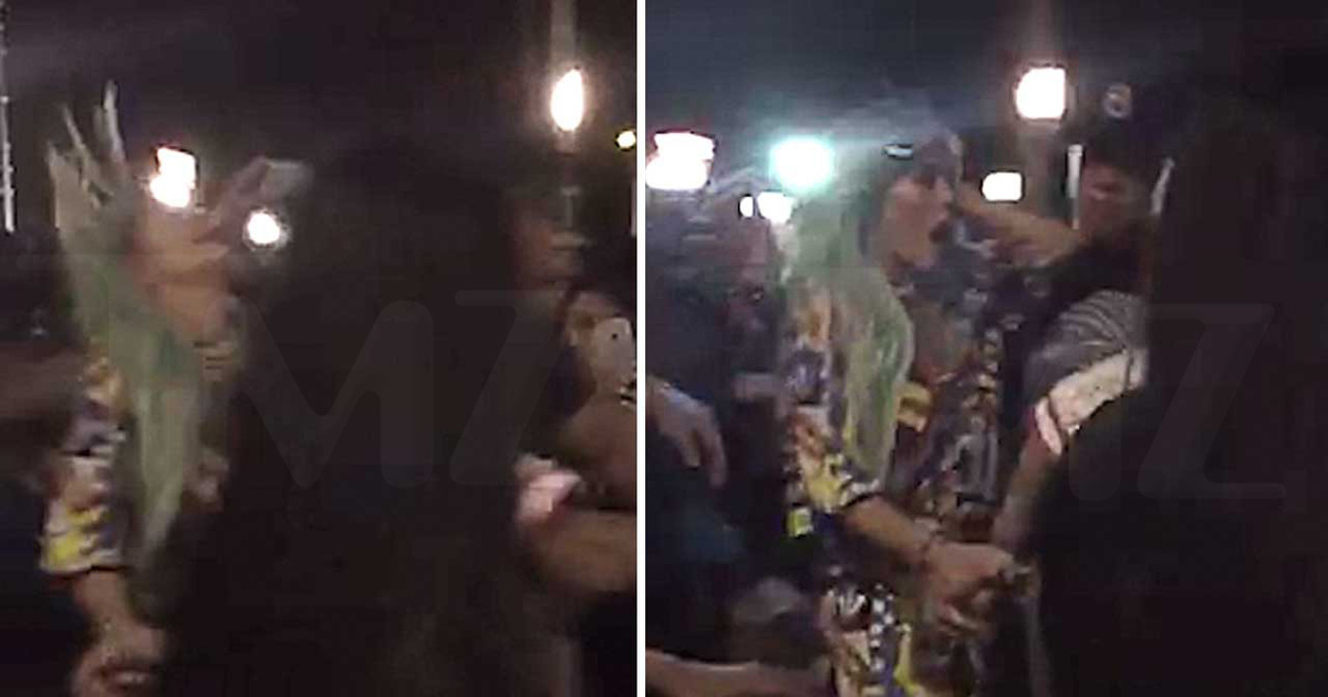 Kylie Jenner -- Attacked By Fan Outside Chris Brown Concert (VIDEO)