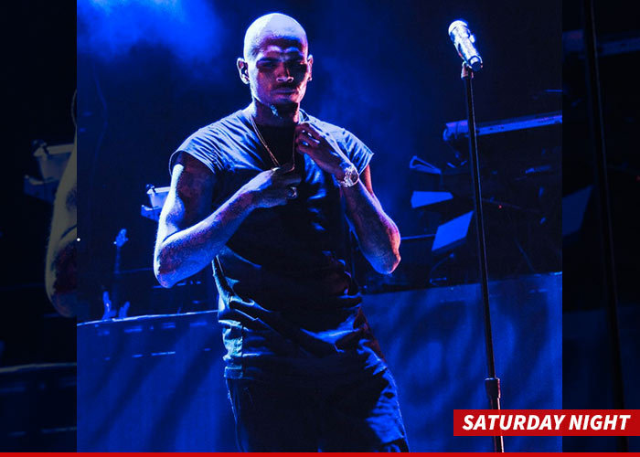 Chris Brown -- Extra Cops at Concert ... He Attracts Certain "Type of Crowd"
