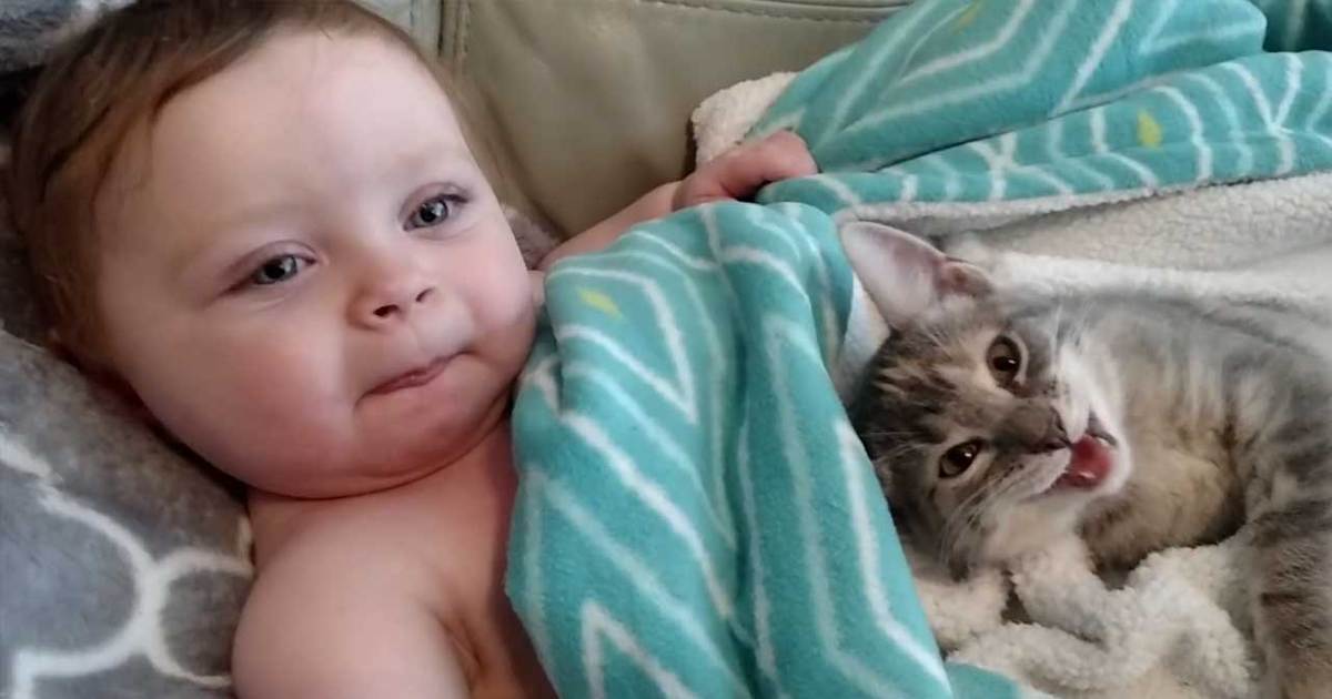 Baby and Kitten -- The Cutest Couch Potatoes EVER!!!