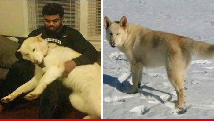 Ohio State's Ezekiel Elliott -- Dognappers Collared ... After Jacking RB's Beloved Pooch
