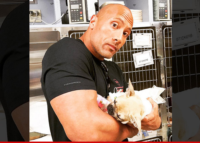 The Rock -- The Puppy I Saved Died ... Victim of Toxic Mushroom (PHOTO)