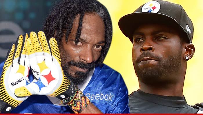 Snoop -- STOP DOGGIN' MIKE VICK ... 'He Did His Time, Get Over It'