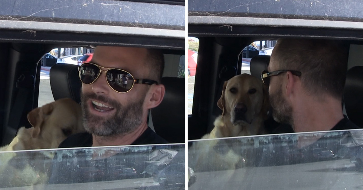 Seann William Scott -- Stifler's Lookin' Great!!! (VIDEO)