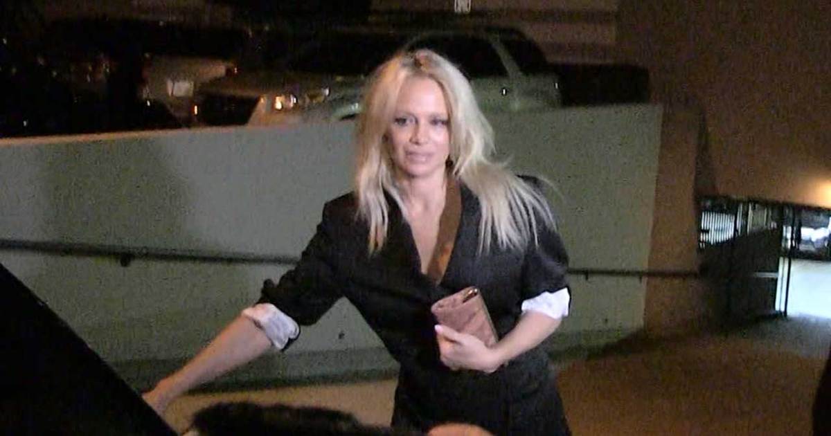Pam Anderson Says No One Can Replace Me in 'Baywatch' Movie