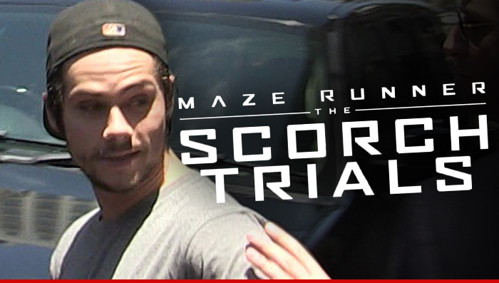 Dylan O'Brien Did Not Jack Native American Artifacts ... 'Maze Runner' Studio Says