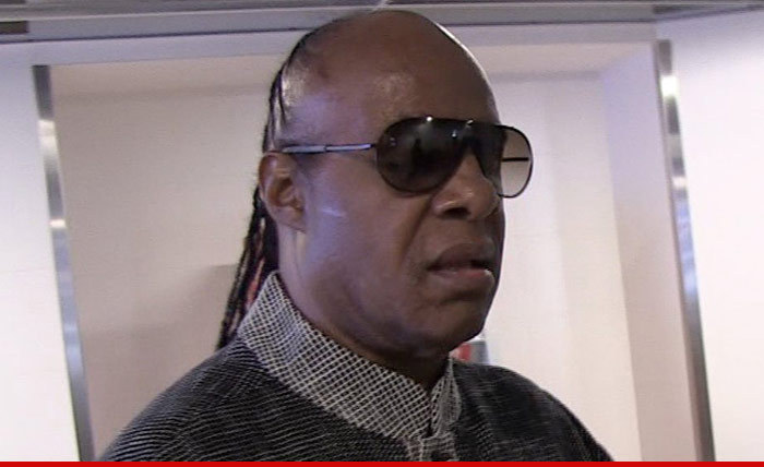 Stevie Wonder Lawsuit -- You're Blind, But You're Not Deaf!