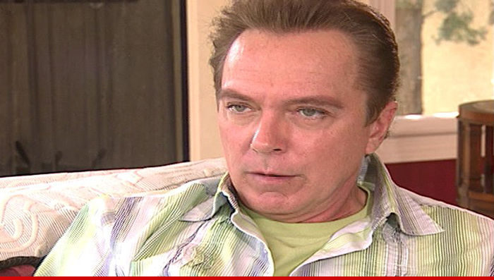 David Cassidy -- Pleads NOT GUILTY In Hit & Run Case