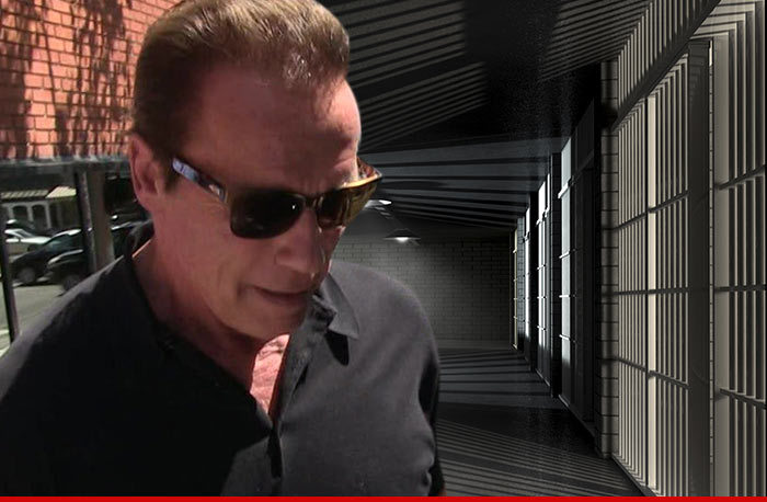 Arnold Schwarzenegger -- Sued For Prisoners Death In 'Valley Fever' Outbreak