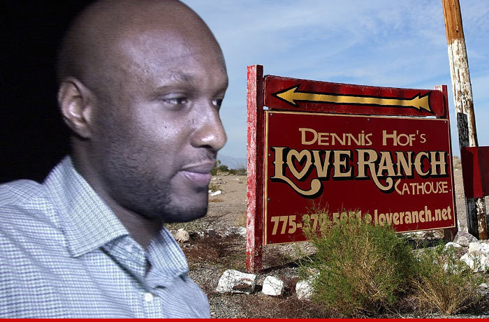 Love Ranch Owner- My Hookers Didn't Push Drugs on Lamar Odom