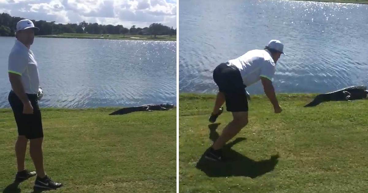 Jeremy Roenick -- Attacks Live Alligator ... Somehow Cheats Death